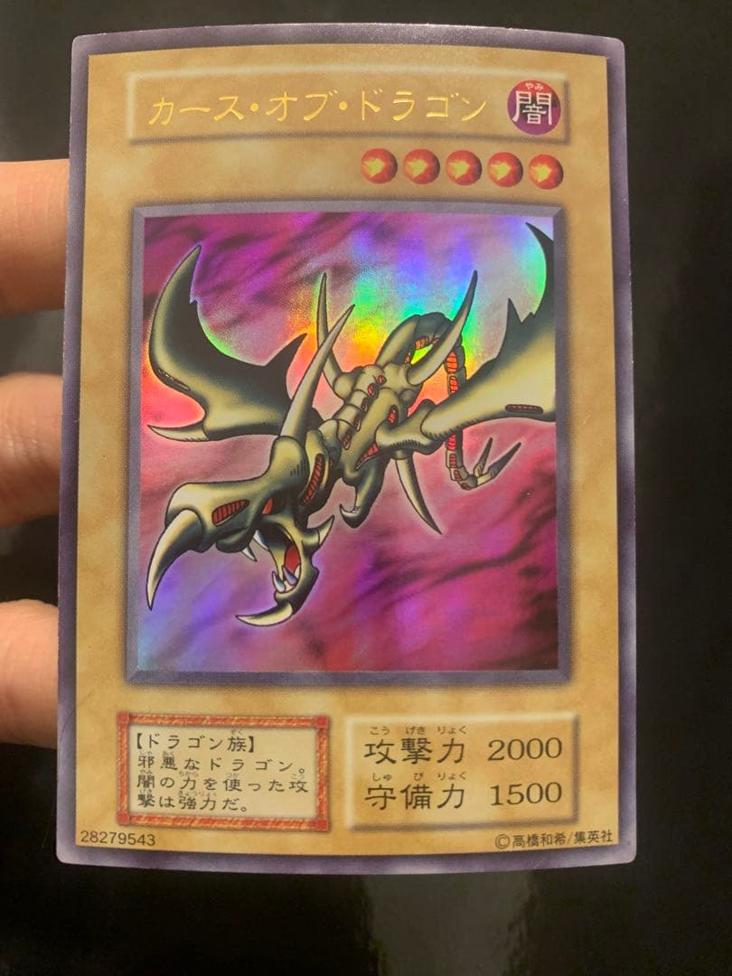 カース・オブ・ドラゴン　確認用