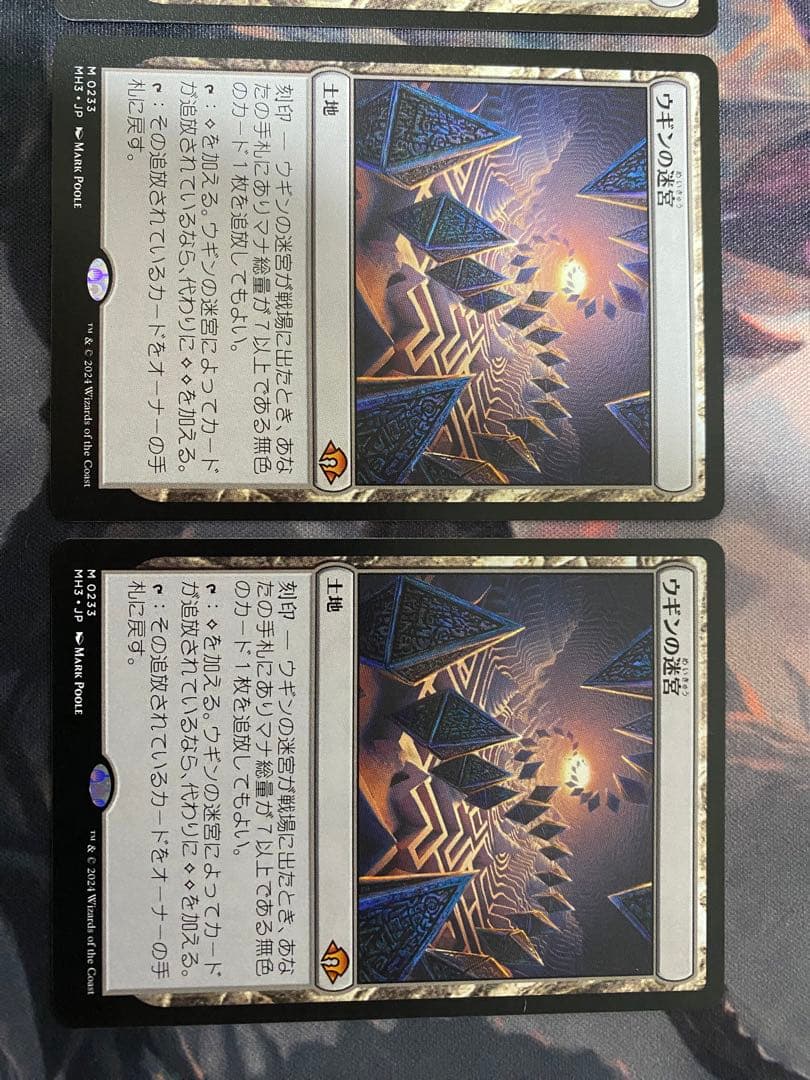 ウギンの迷宮日本語版4枚セット