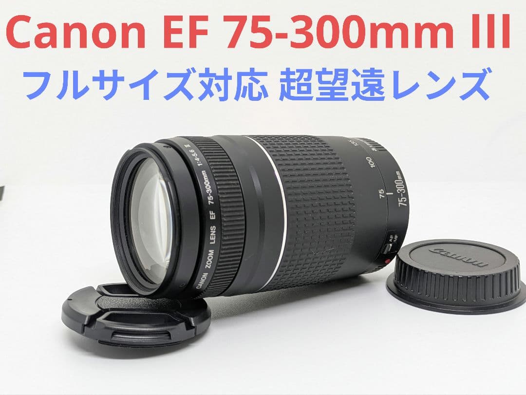 10月1日限定特価♪【超望遠レンズ】Canon EF 75-300mm Ⅲ