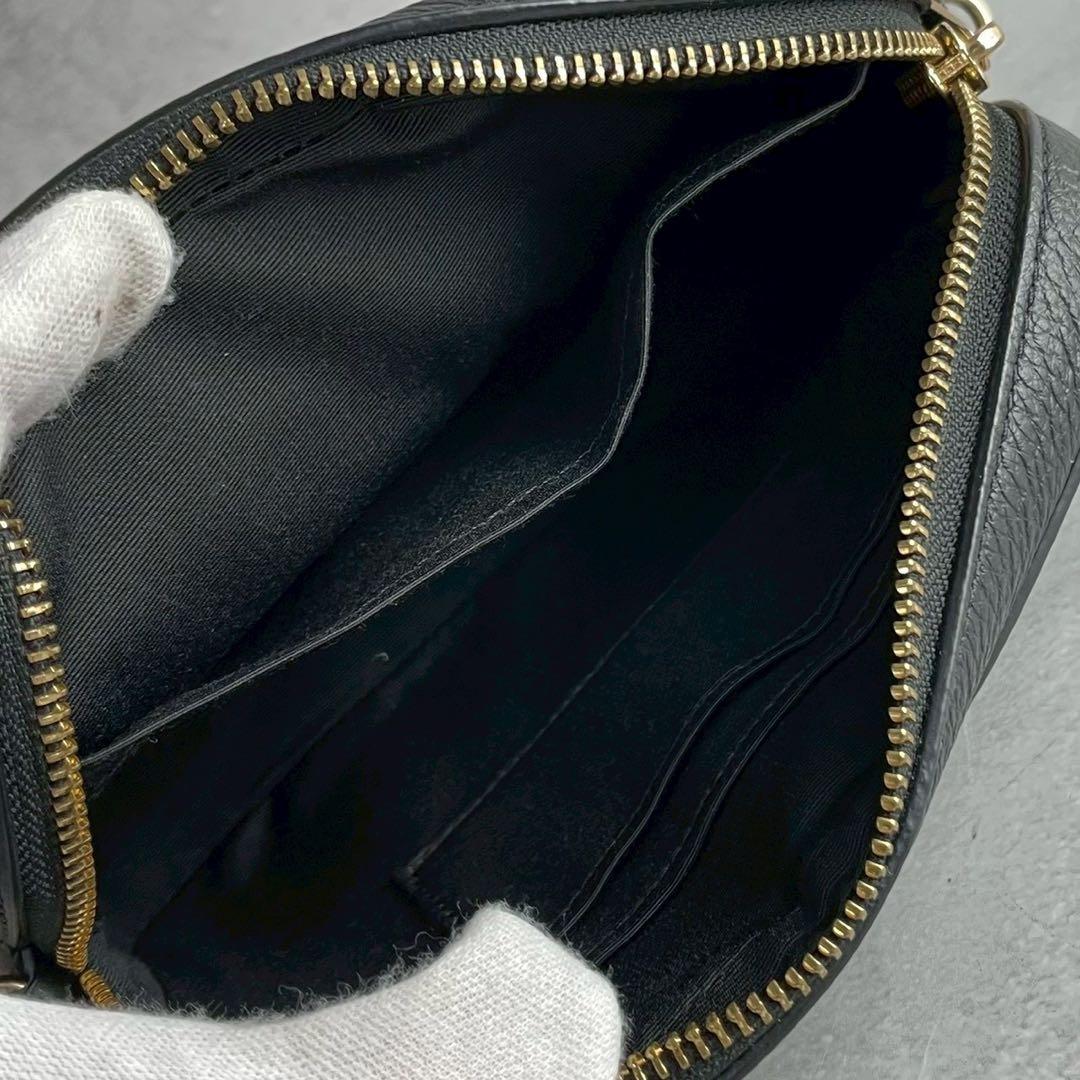 ✨稀少✨美品✨コーチ　ダイアリー　カメラバッグ 2way 刺繍　レザー　ブラック