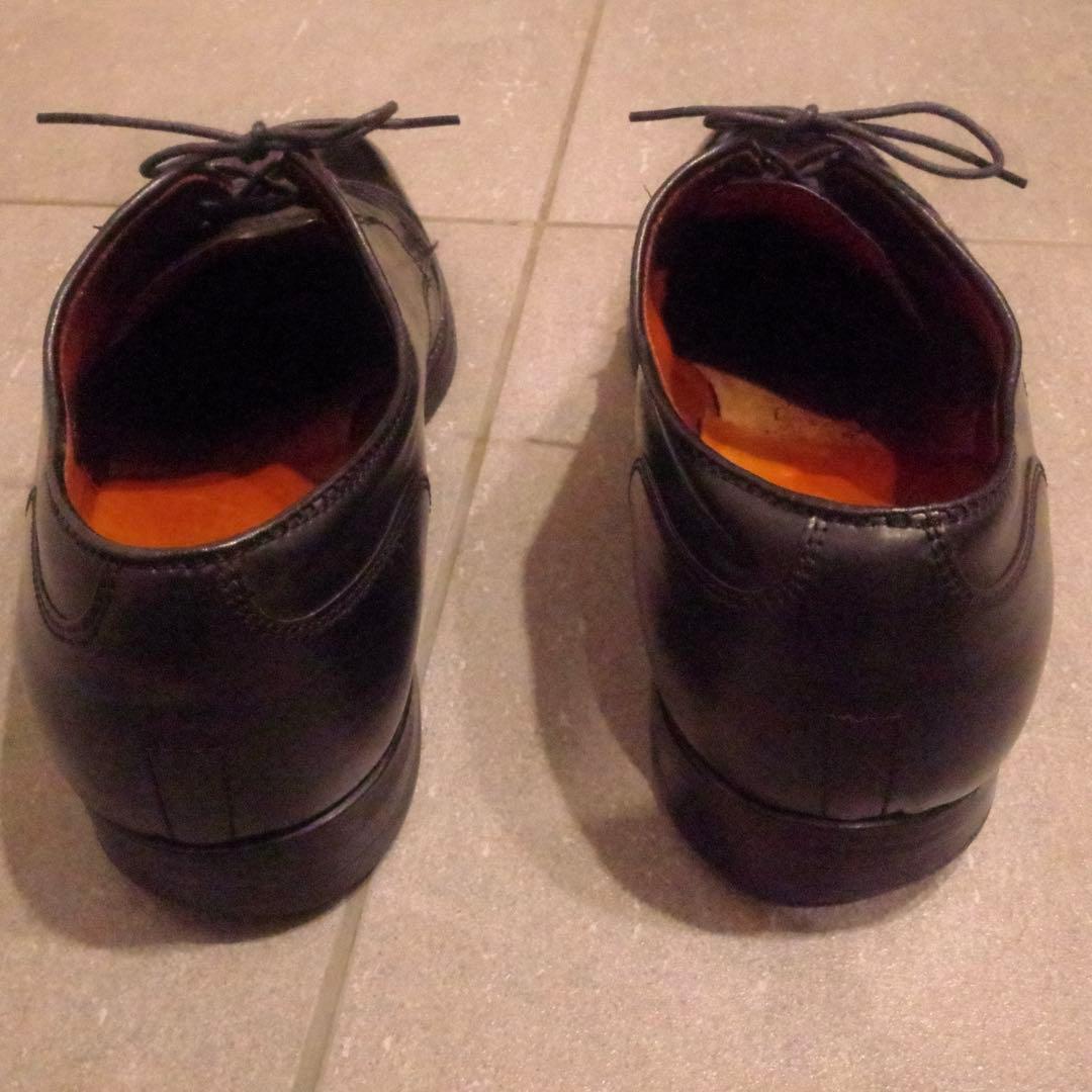 Alden 2161 8E 26cmシェルコードバン ストレートチップ 黒