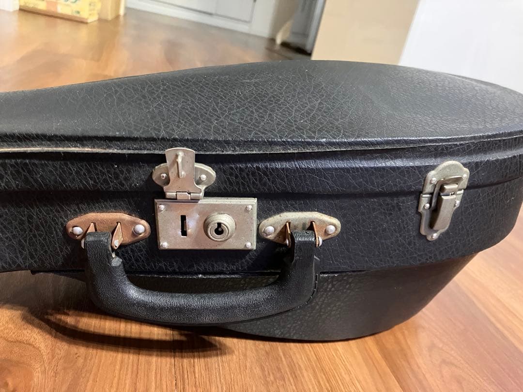 マンドリン　M-210 ハードケース付き　弦楽器　SUZUKI VIOLIN