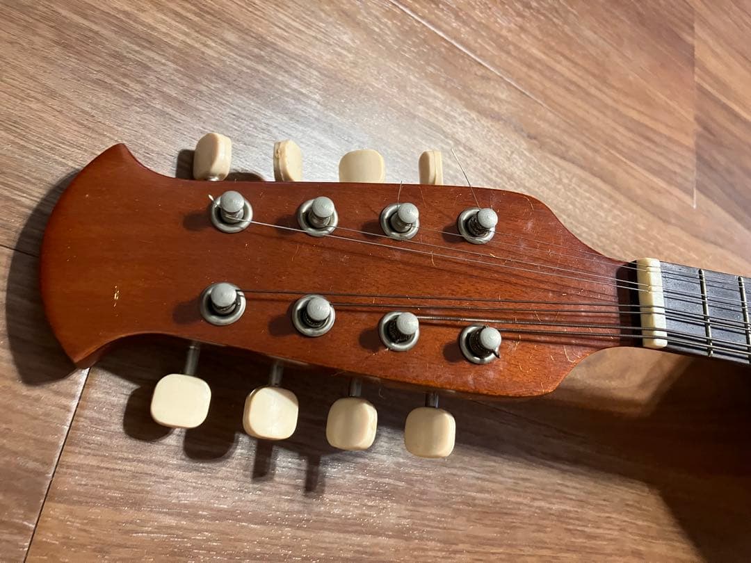 マンドリン　M-210 ハードケース付き　弦楽器　SUZUKI VIOLIN