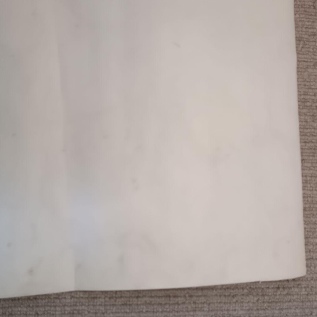 佐藤勝彦 【花 】絵画 日本画 墨彩画 印有 額サイズ約51×63cm 真作