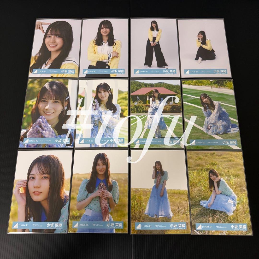 日向坂46 小坂菜緒 「お願いバッハ！」 生写真 12種コンプ 日向坂46 15th