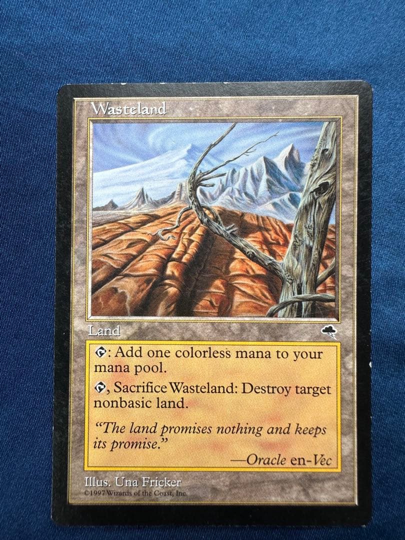 不毛の大地 Wasteland 4枚 テンペスト MTG
