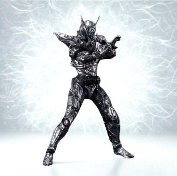 新品 S.H.Figuarts 仮面ライダーSHADOWMOON ブラックサン