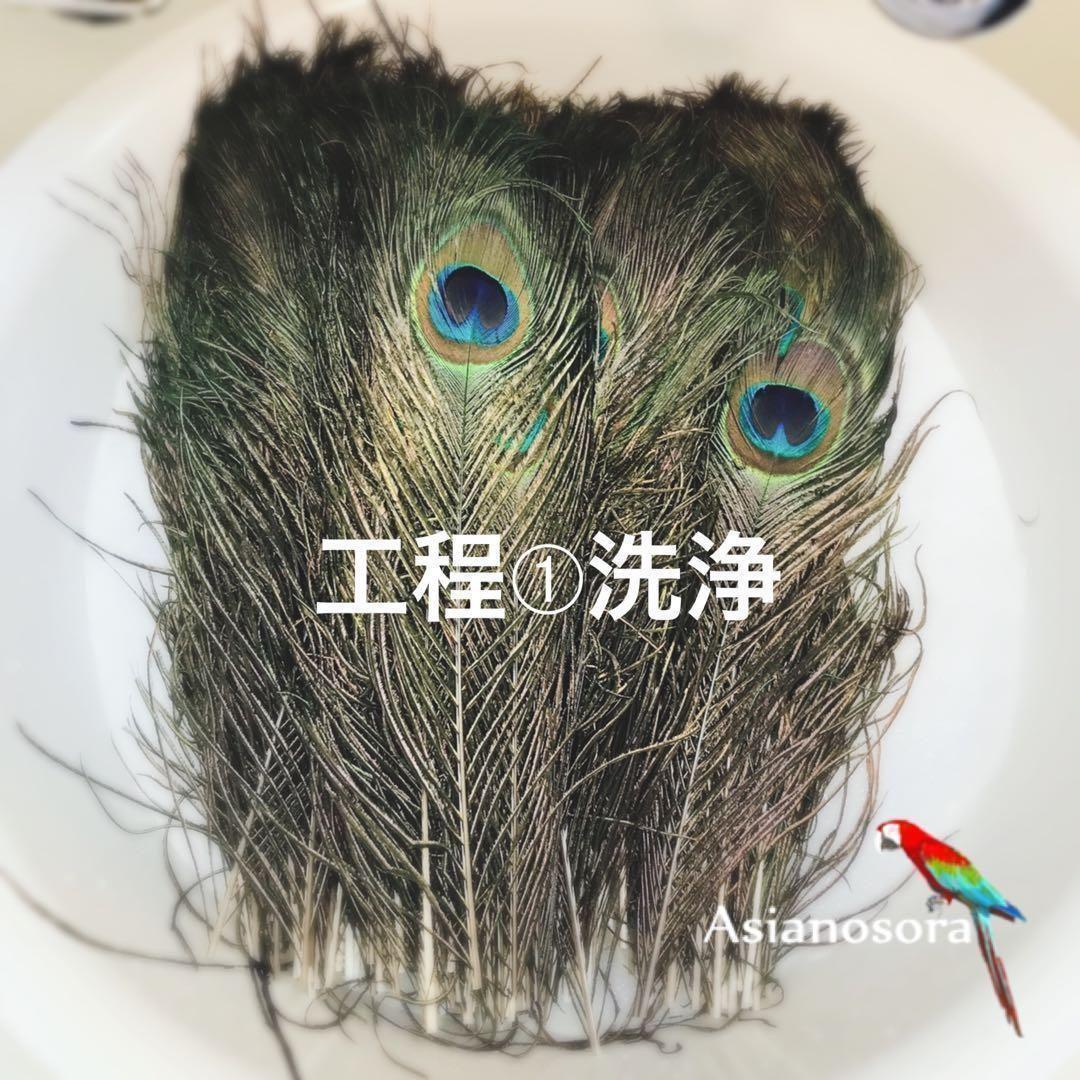 100枚■【クジャク 】孔雀の羽根 目玉 パーツ 鳥 羽根 素材