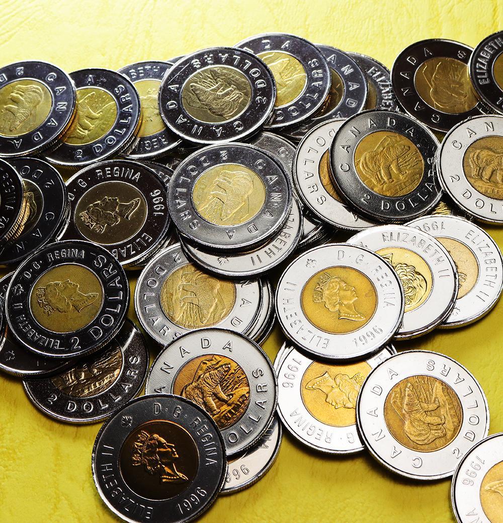 a317 カナダ 2ドル コイン 硬貨 北極熊 エリザベス女王 52枚 まとめて