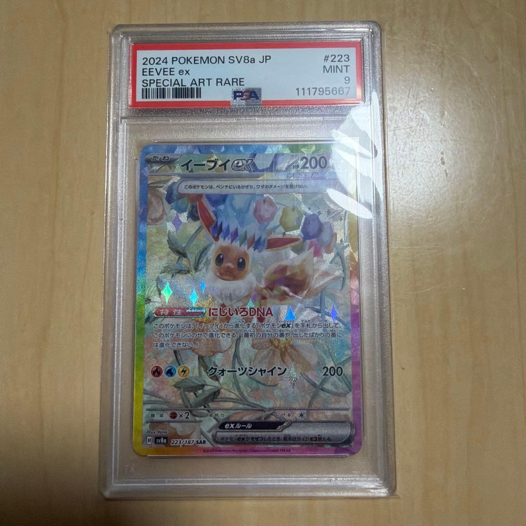 テラスタルフェスex ブイズ　連番