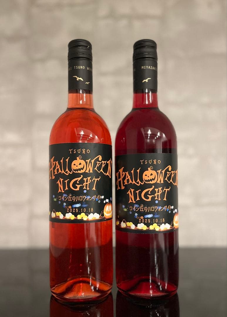 超希少！！ ジャン・マルク・ブリニョアルディッシュ・ルージュ2010+11