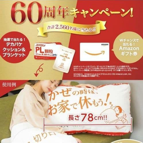 パイロン クッション&ブランケット