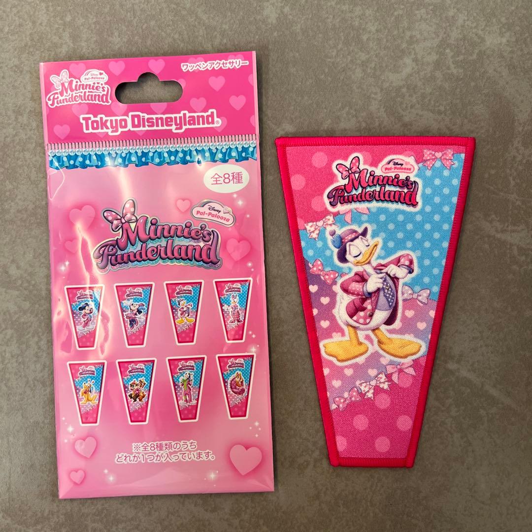 ディズニーランド ミニーのファンダーランド ワッペンアクセサリー