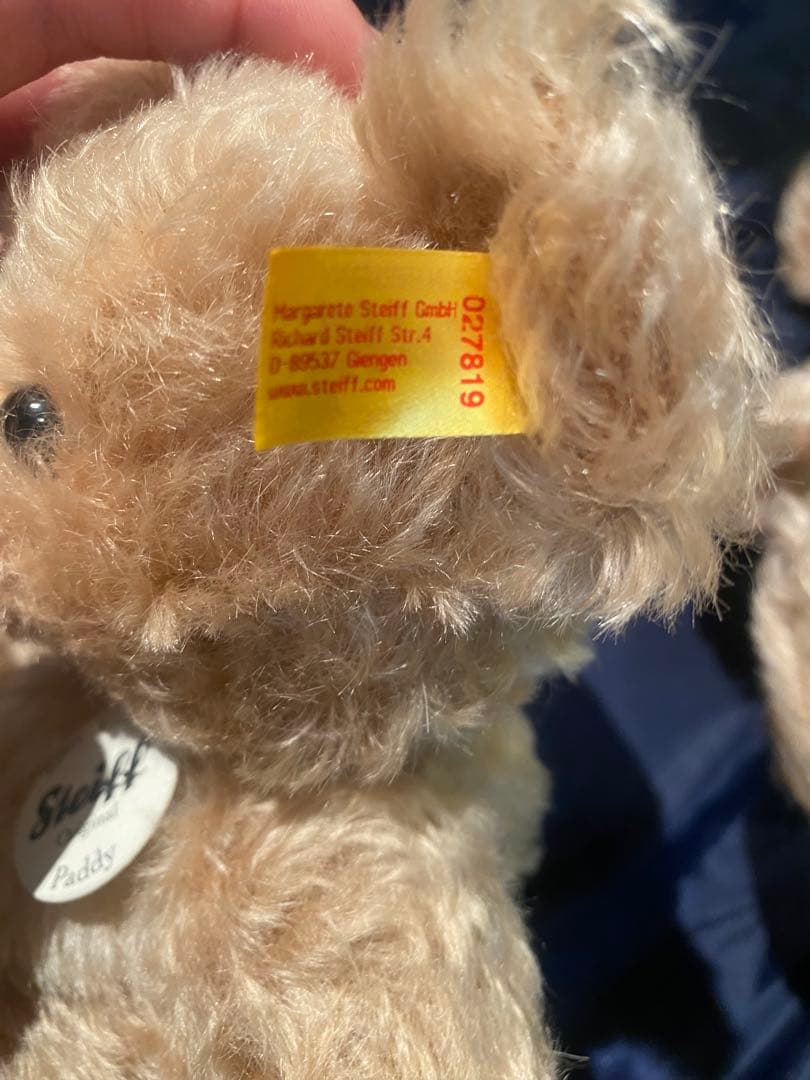 【別種】シュタイフ　テディベア　Paddy　　ぬいぐるみ　くま　パディ　セット