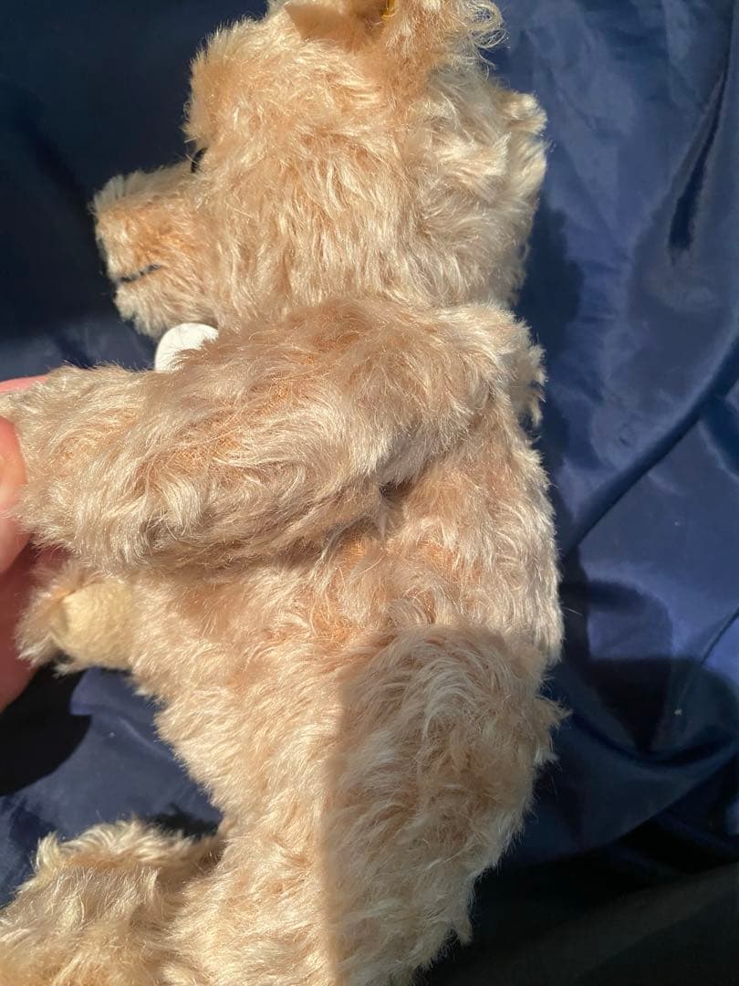 【別種】シュタイフ　テディベア　Paddy　　ぬいぐるみ　くま　パディ　セット