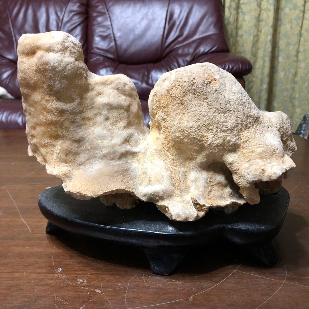 レア 貴重 骨董品 龍 龍神 竜神 竜 陶器 彫刻 壺 アンティーク 家具