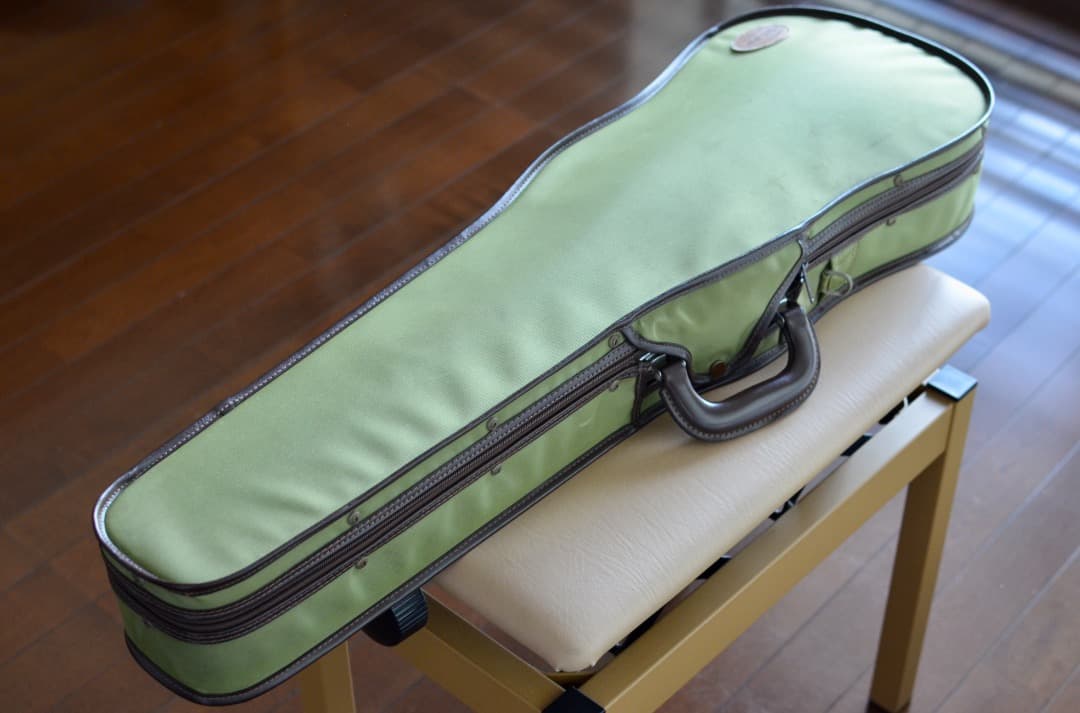 ほぼ未使用】Gliga VASILE gama2 バイオリン 4/4 セット