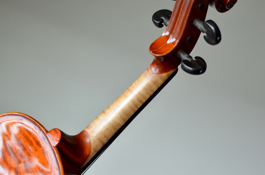 ほぼ未使用】Gliga VASILE gama2 バイオリン 4/4 セット