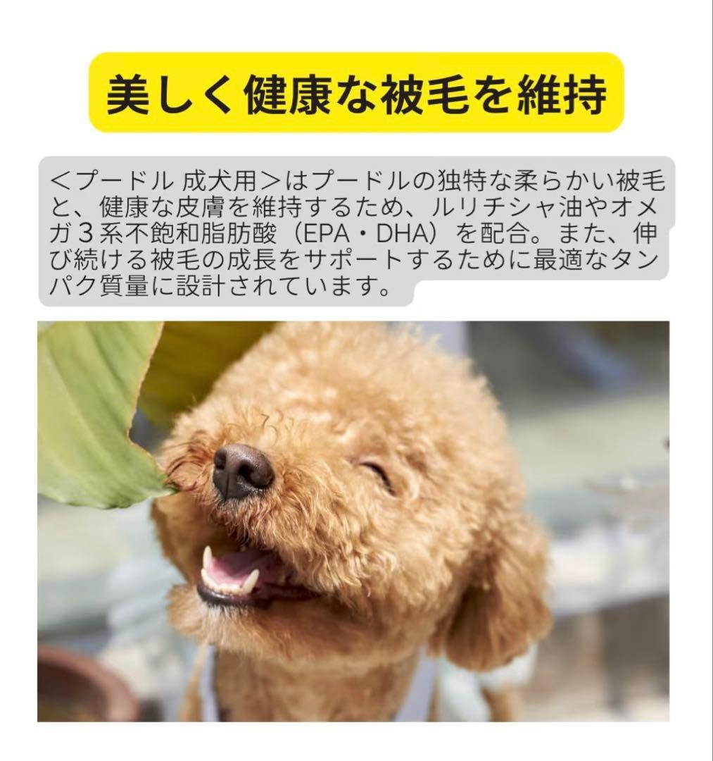  CANIN プードル ドライフード 7.5kg x3