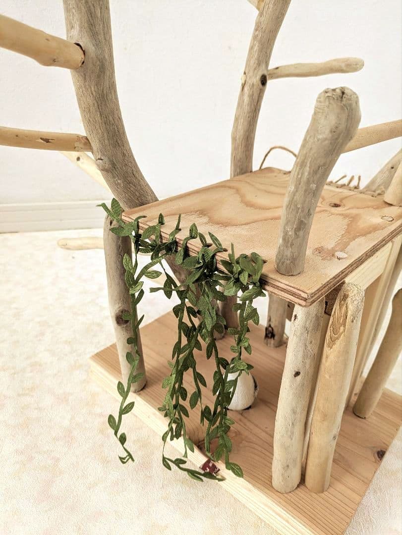 バードアスレチック65流木 バードジム バードトイ 扉を開けて バード