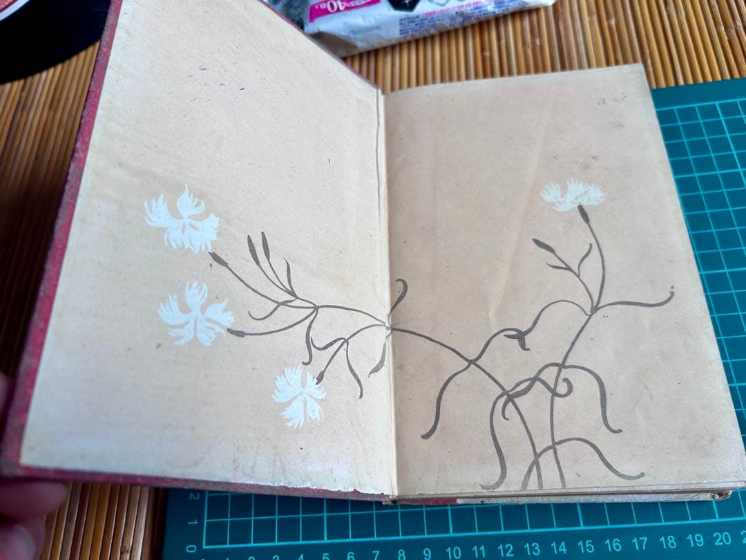 少女物語 なゝ姫 河井醉茗 著 大正2年発行 - WWW.MAINLINEDENTALLAB.COM