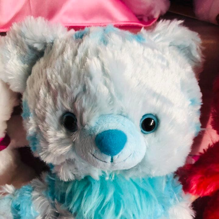 【全てタグ付き】ディズニーストアー ユニベア 5周年 不思議の国のアリス