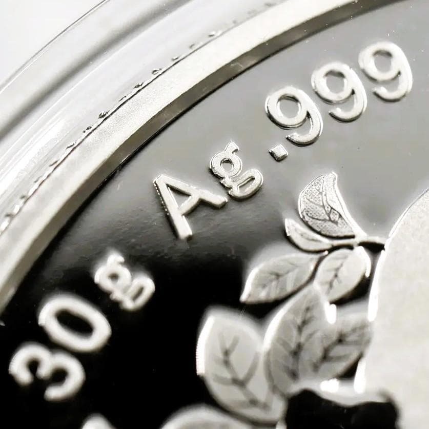 2024 (新品未使用) 中国 パンダ銀貨 30g10元 (カプセル入) 152 - メルカリ