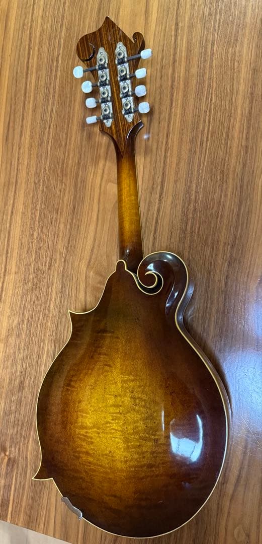 大幅値下げしました！Noar マンドリン サンバースト 8弦