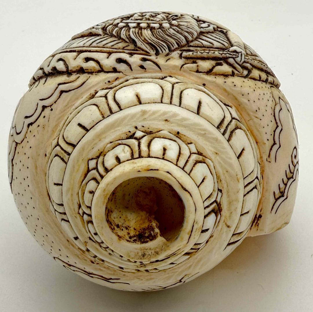 ◇チベット密教法具 法螺貝（シャンカ）クルックラー(赤ターラー)