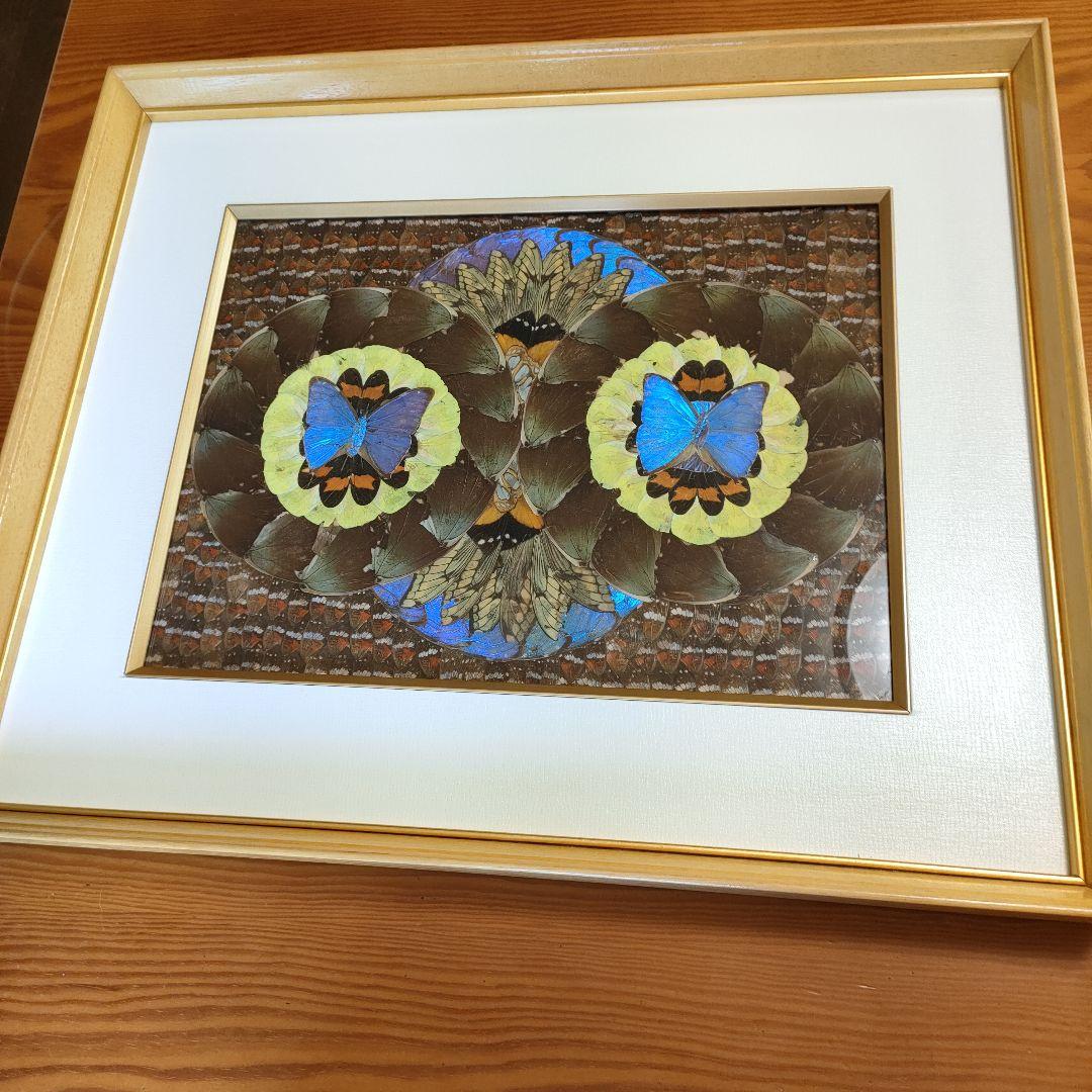 モルフォ蝶 蝶画 羽根細工 蝶絵画額 - メルカリ