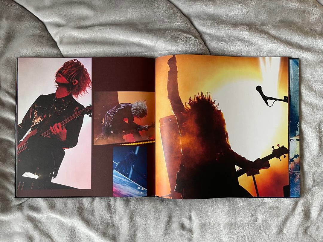 the GazettE MASS \"THE FINAL\" DVD 初回生産限定盤