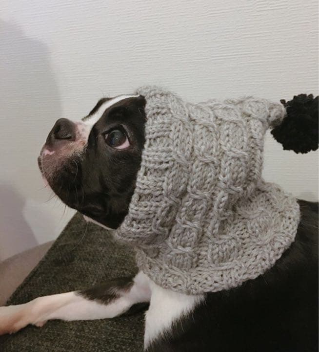 大きめサイズ 大好評♪ 手編み□ 犬 スヌード □ ボストンテリア ニット帽