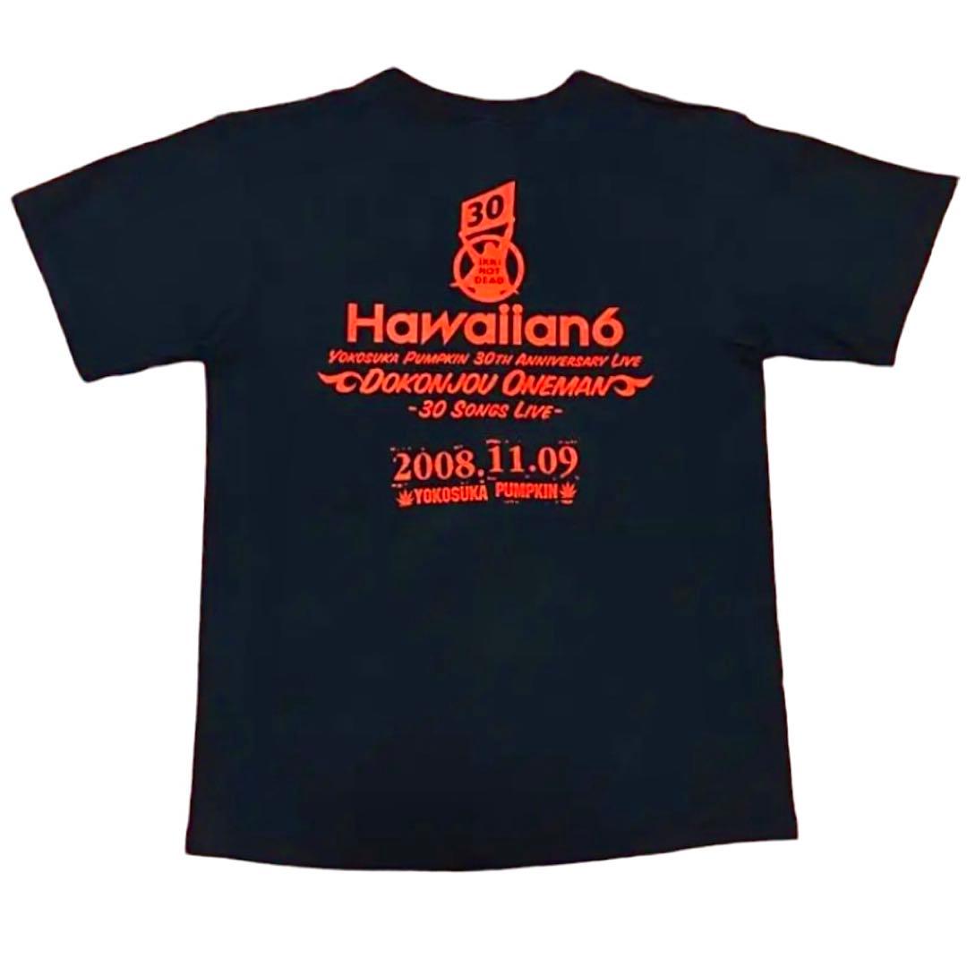 HAWAIIAN6『ド根性ワンマン』TシャツM 横山 健KEN YOKOYAMA