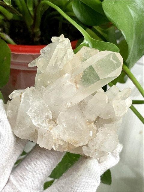 ◇超強いパワーヒマラヤ産天然水晶クラスターYT8B6/26B61C - メルカリ