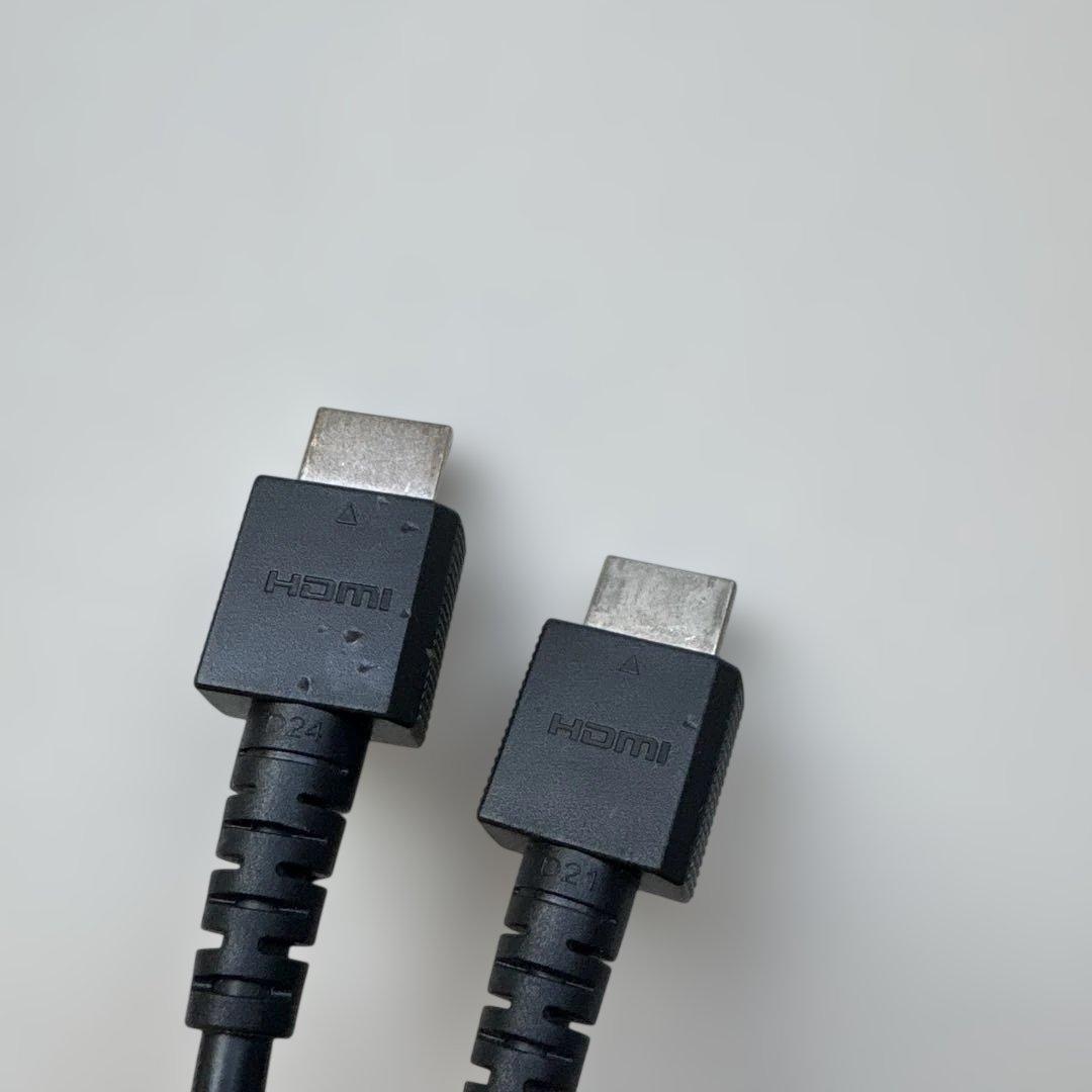 ニンテンドーSwitch あつまれ動物の森セット