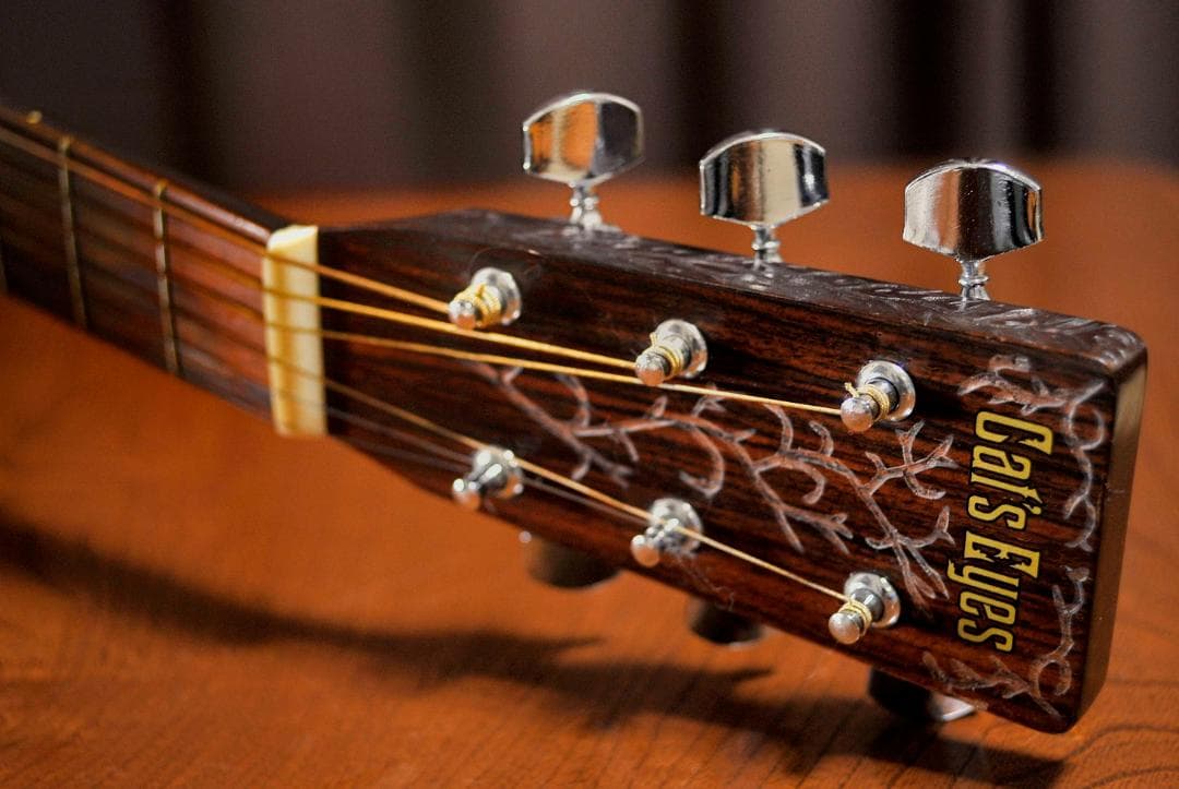 ☆彫刻ギター Cat´s Eyes CEシリーズ 舞台にストリート演奏とオブジェ