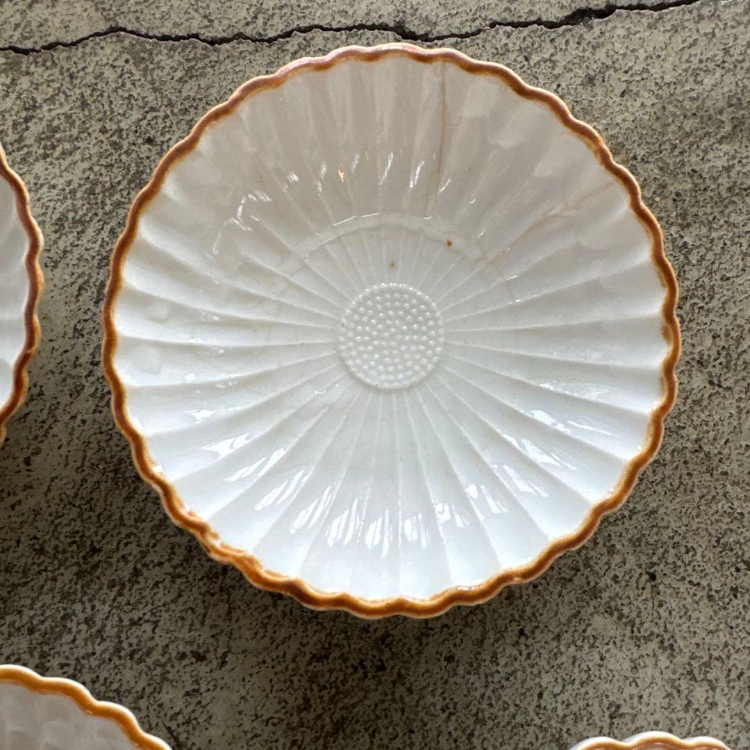 古伊万里　白磁　江戸後期　菊　豆皿