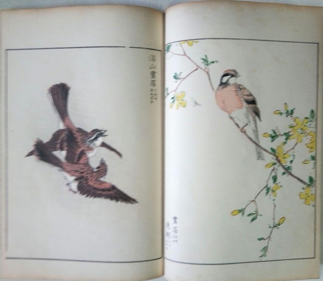 木版画本聚鳥畫譜大正5年再版三冊揃い天、地、人