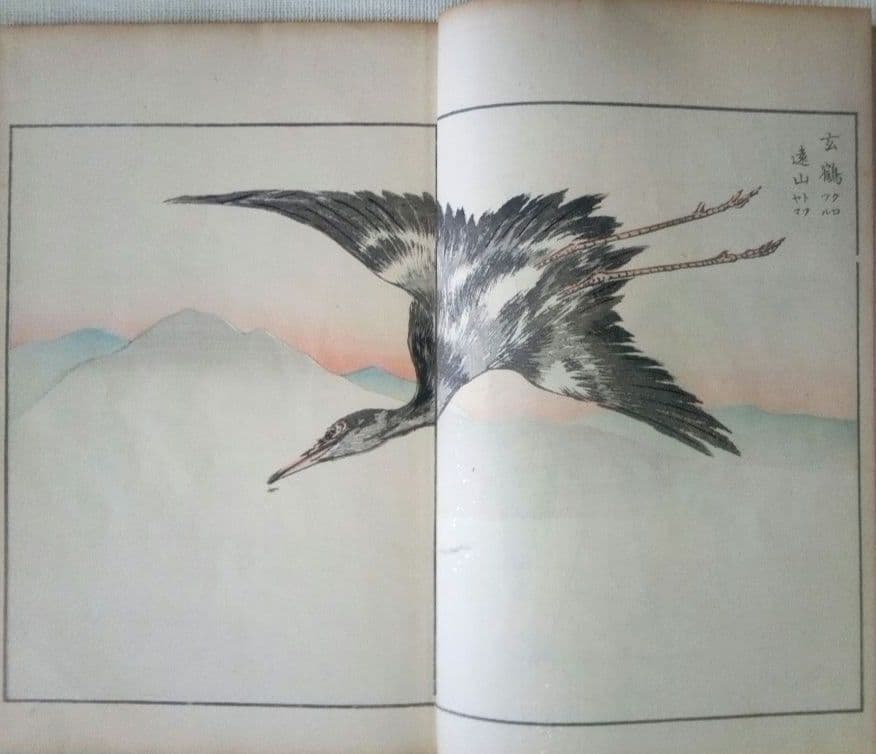 木版画本聚鳥畫譜大正5年再版三冊揃い天、地、人沼田荷舟画初版は明治