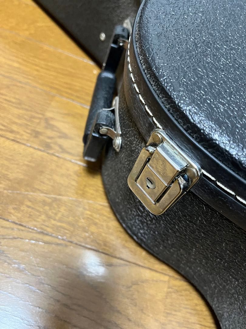 Epiphone Zephyr Regent NA フルアコ