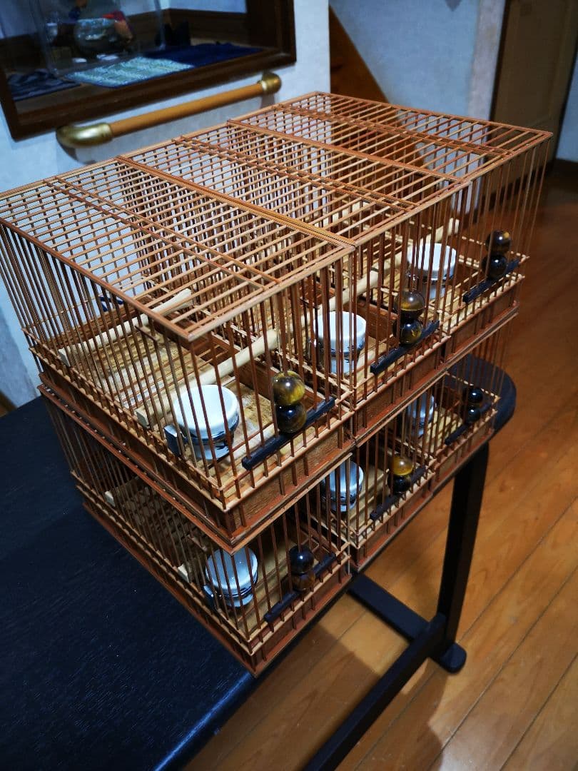 《季節限定出品》メジロ籠&寝かせ籠【最高級/優良籠】※真鍮製餌受　※限定購入特典