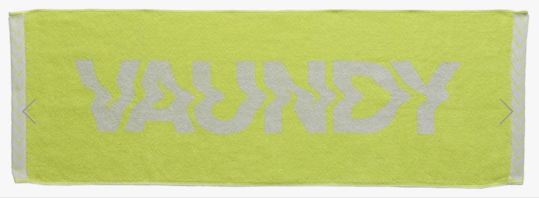 〔美品〕Logo Jacquard Towel \"SHINKOKYU\"