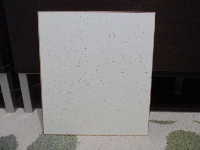 レア品　美品　板井れんたろう　直筆　サイン　色紙　額装　当時物