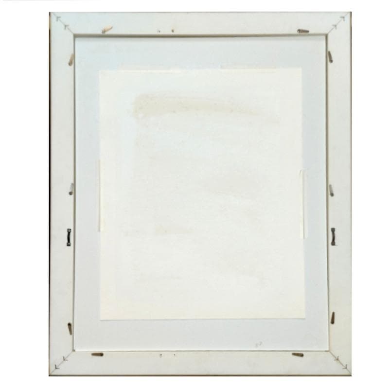 ☆レスリー・セイヤー☆「フラワーファンタジ－」シルクスクリーン