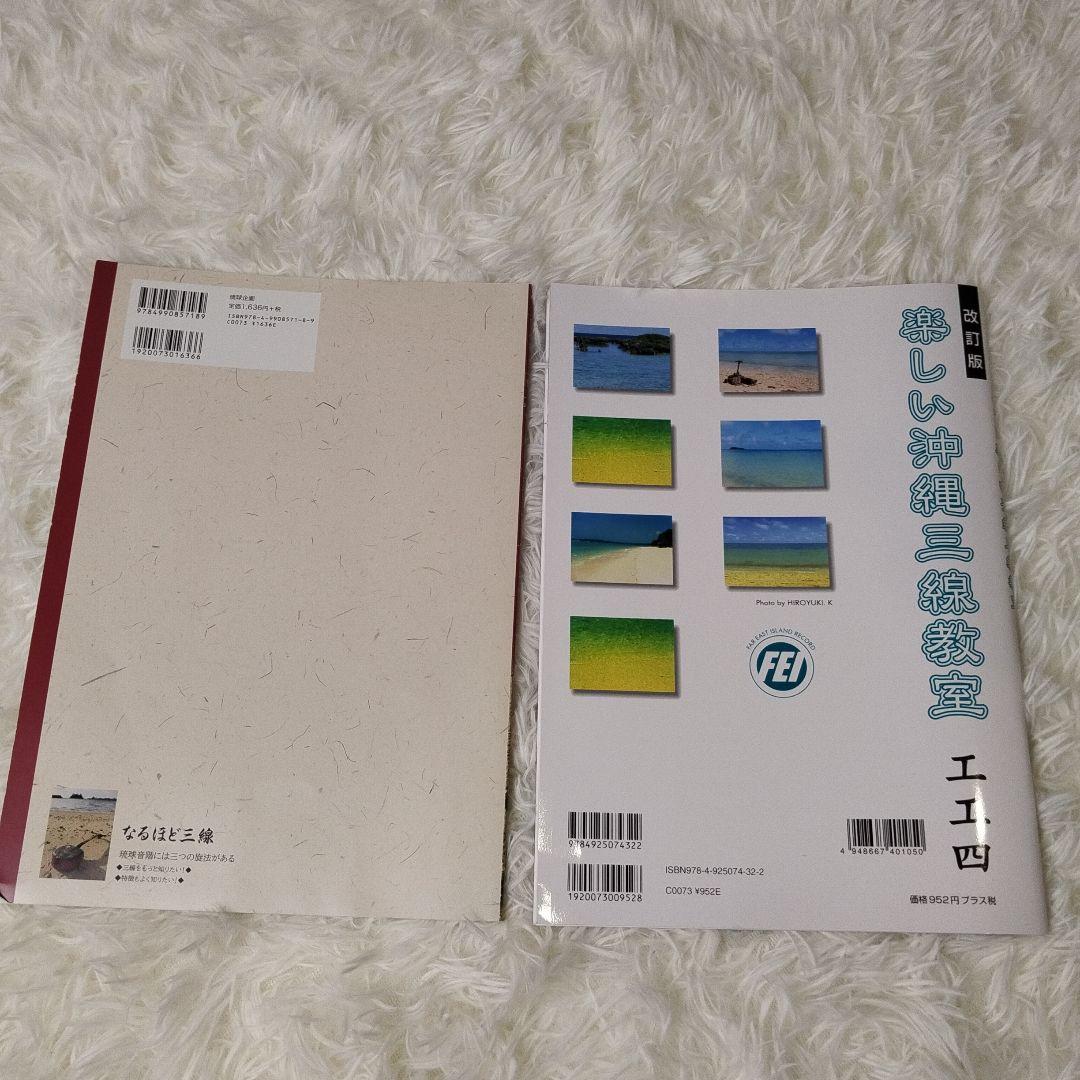 【極美品】沖縄三線 本蛇革 強化張り 花梨 蛇皮 ハードケース 爪