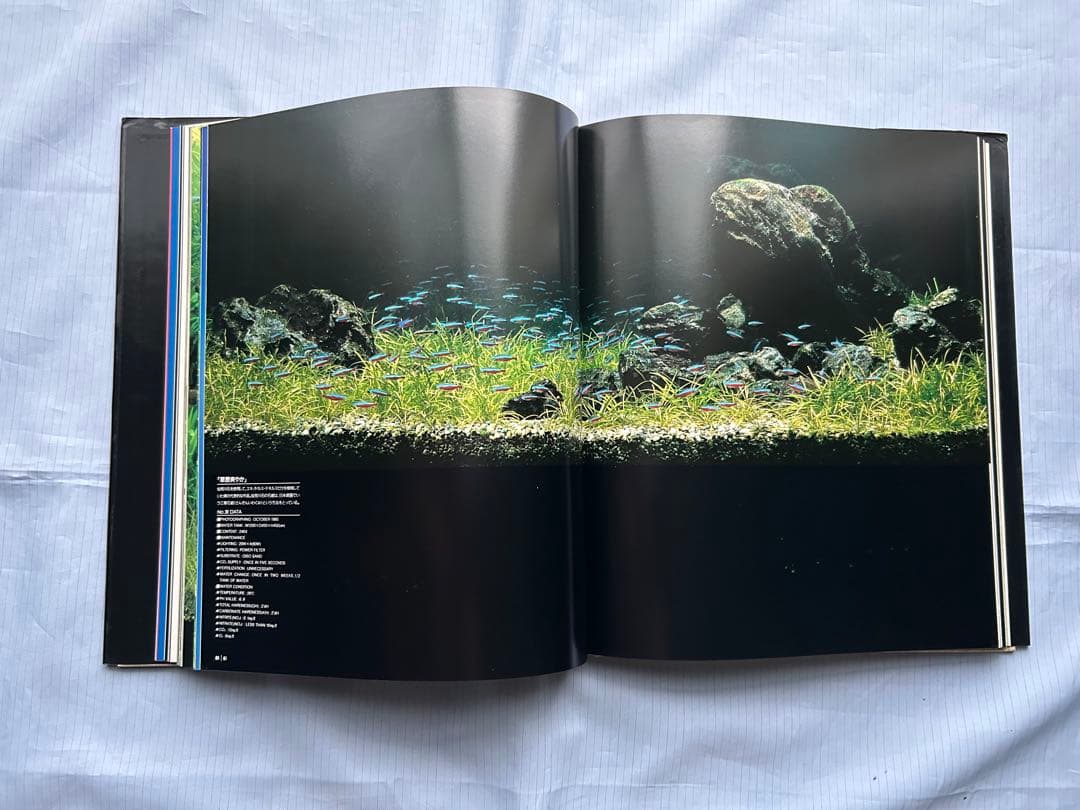 NATURE AQUARIUM WORLD The World of Nature Aquarium | ADA - EVENT