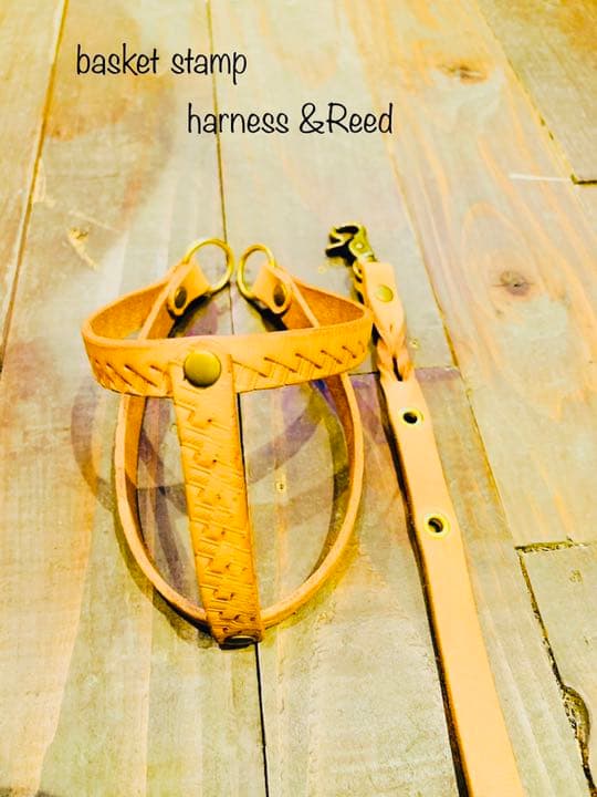 犬用【本革】リード&ハーネス&ハンドフリーベルト3点セット