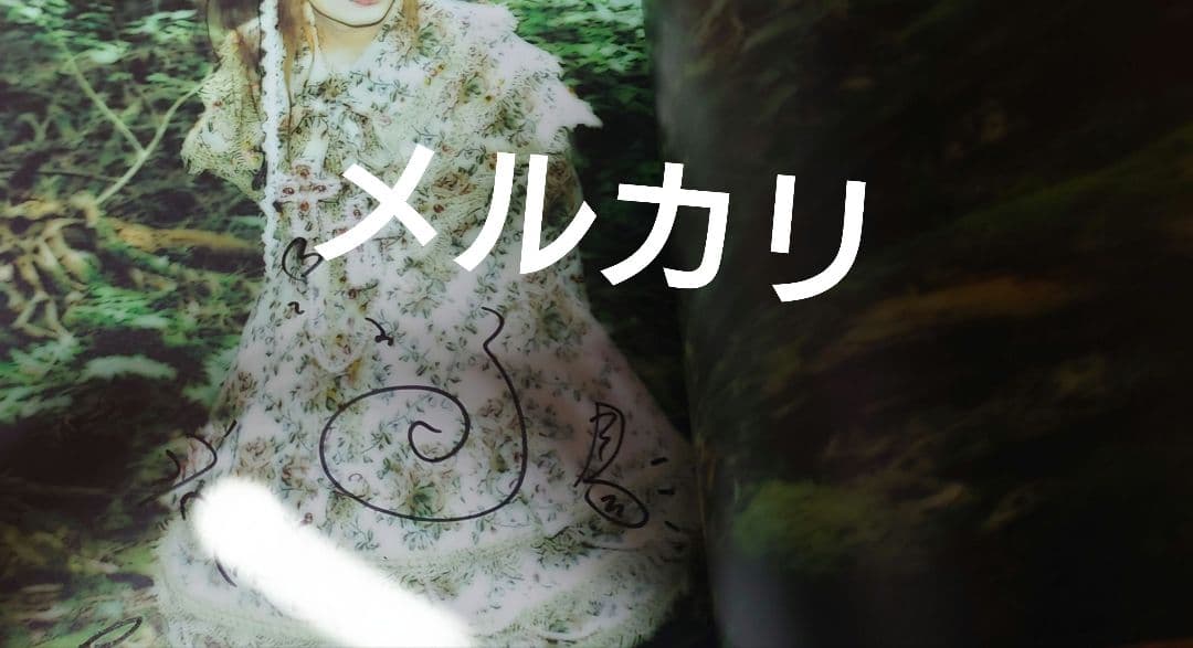 LAREINE Never Cageパンフレット コメントサイン入り