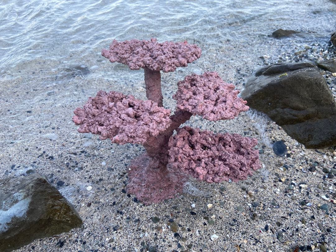 水槽用コーラル模型 ピンク 紫 中型