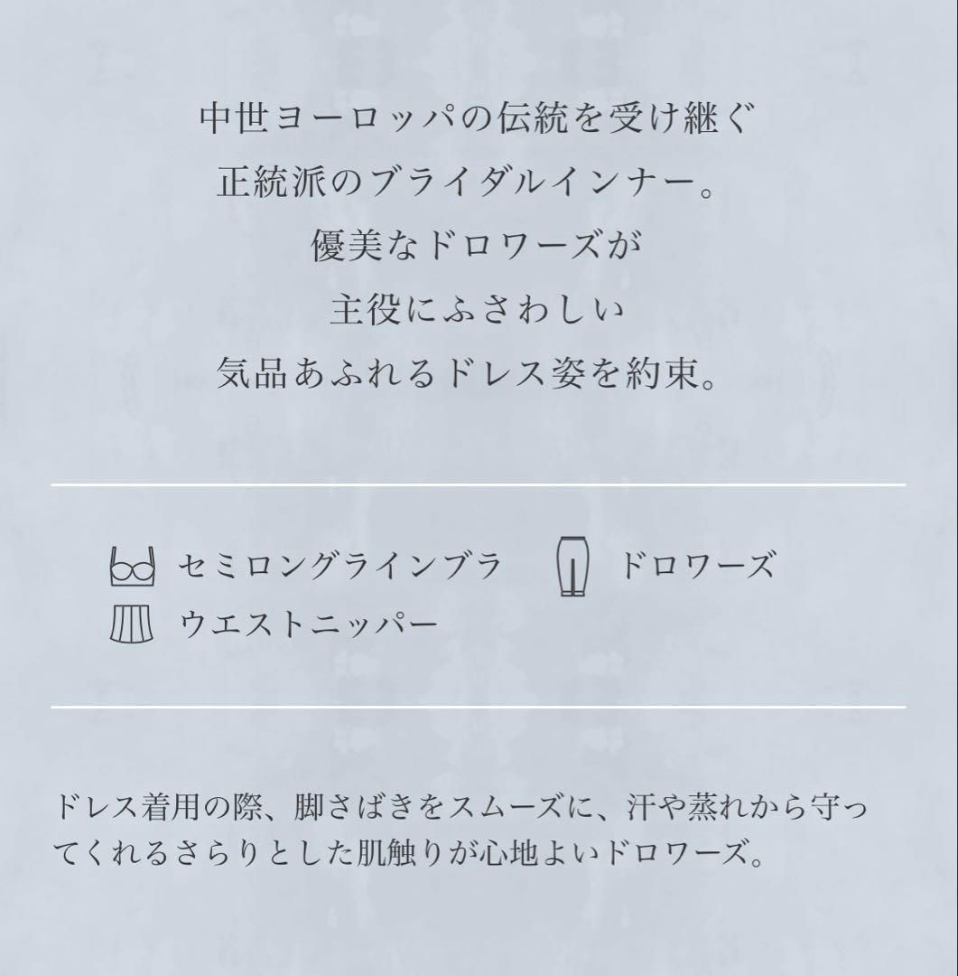 セモアブライダルインナー　エレガントD65/64